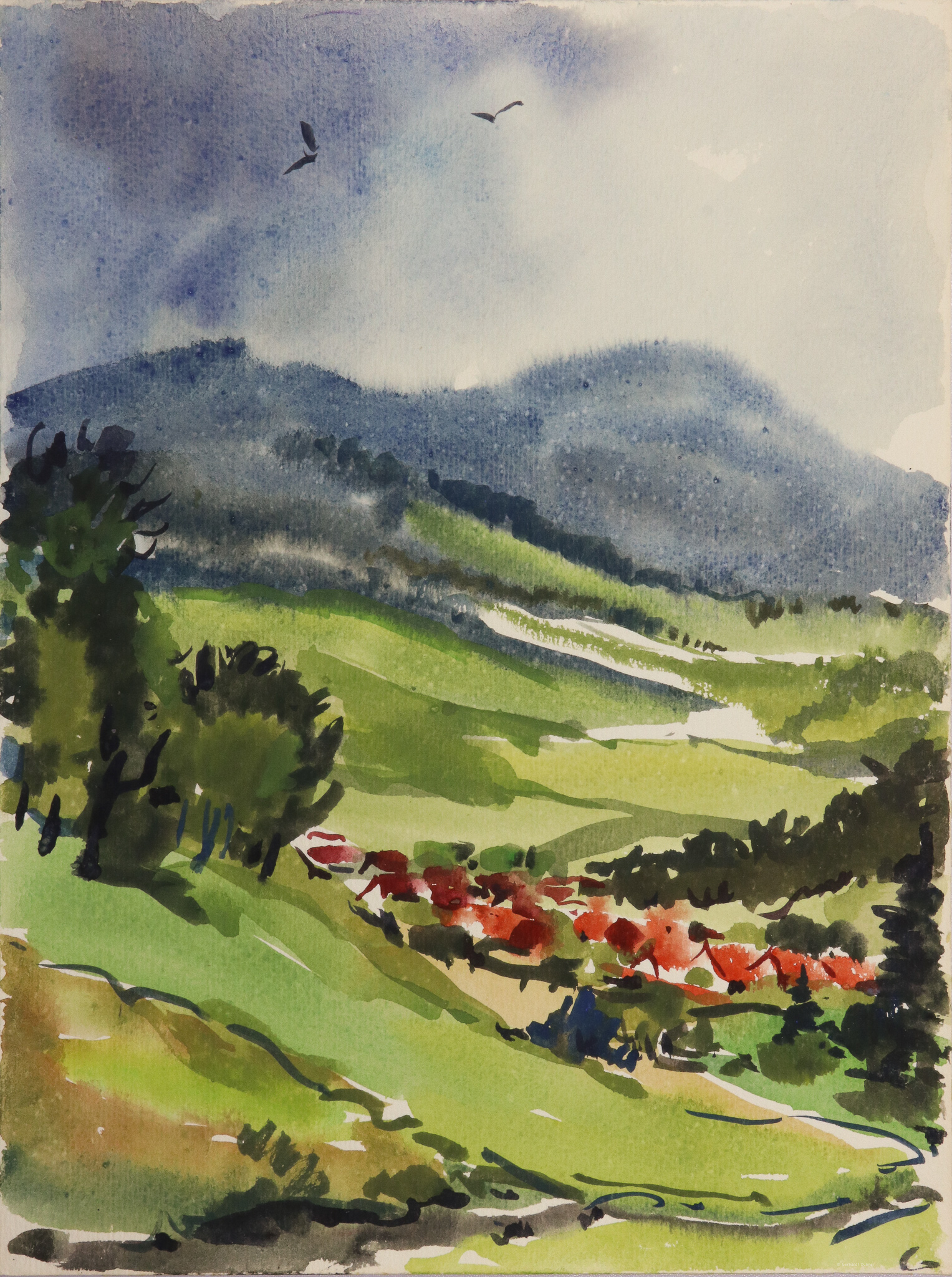 Dorf vor Berglandschaft